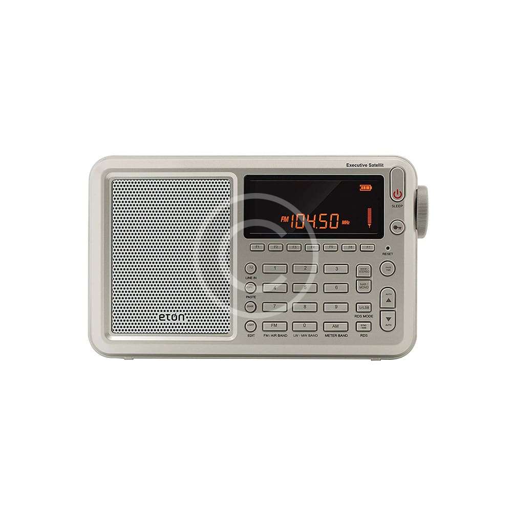 Executive Satellite Radio with RDS